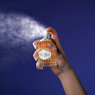 Top Secret 100ml Bibliotheque de Parfum