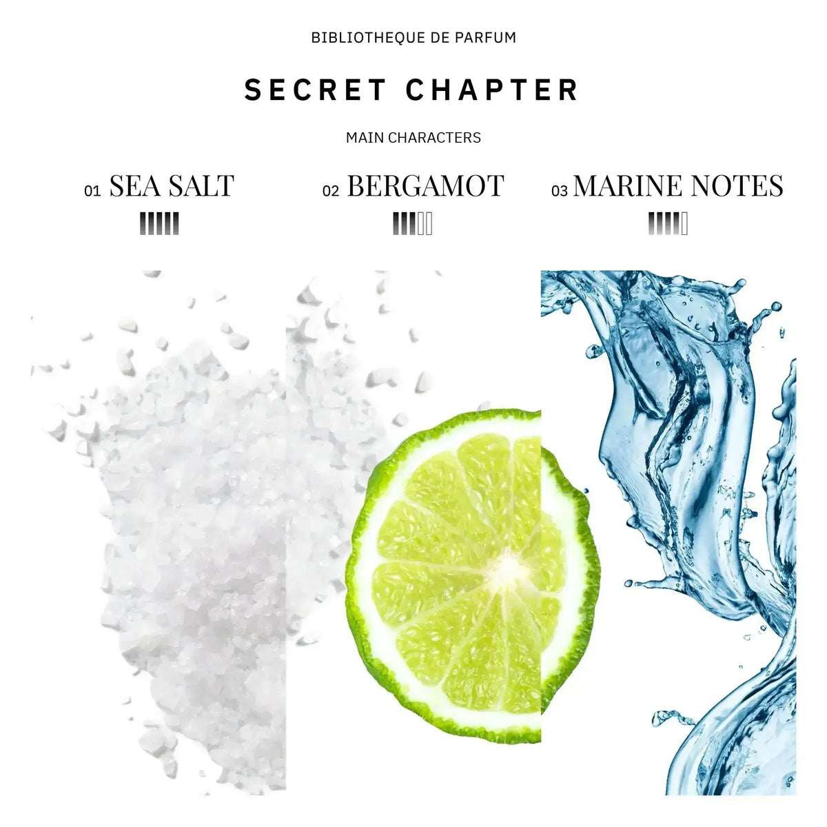 Secret Chapter 2 ml