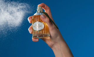 The Phenomenon of the Olfactory Anchor