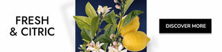 Citric and Fresh