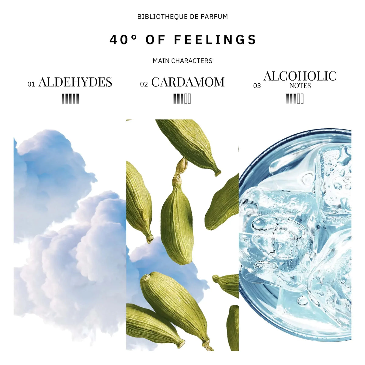 40° of feelings 2 ml