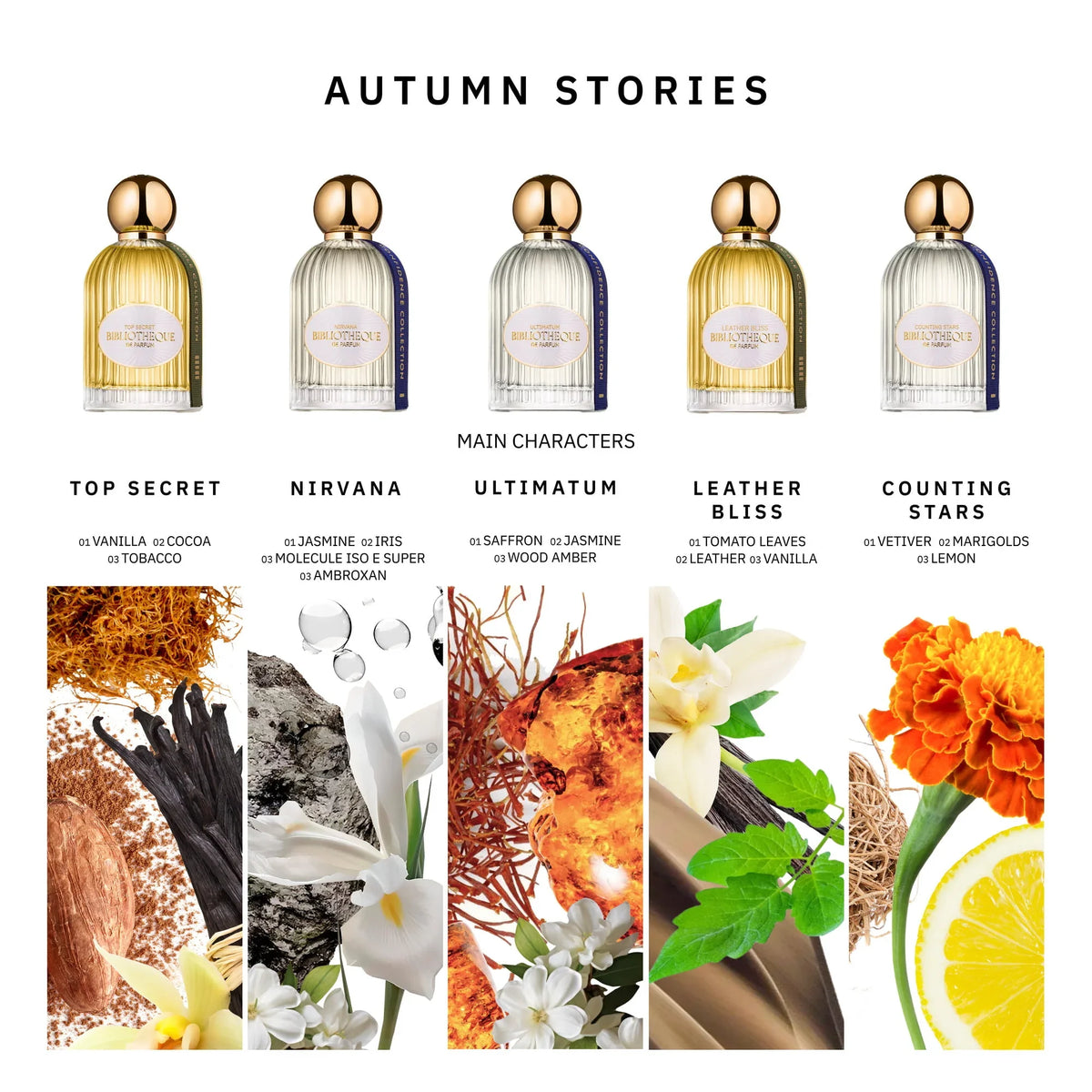 Discovery Set · Autumn Stories