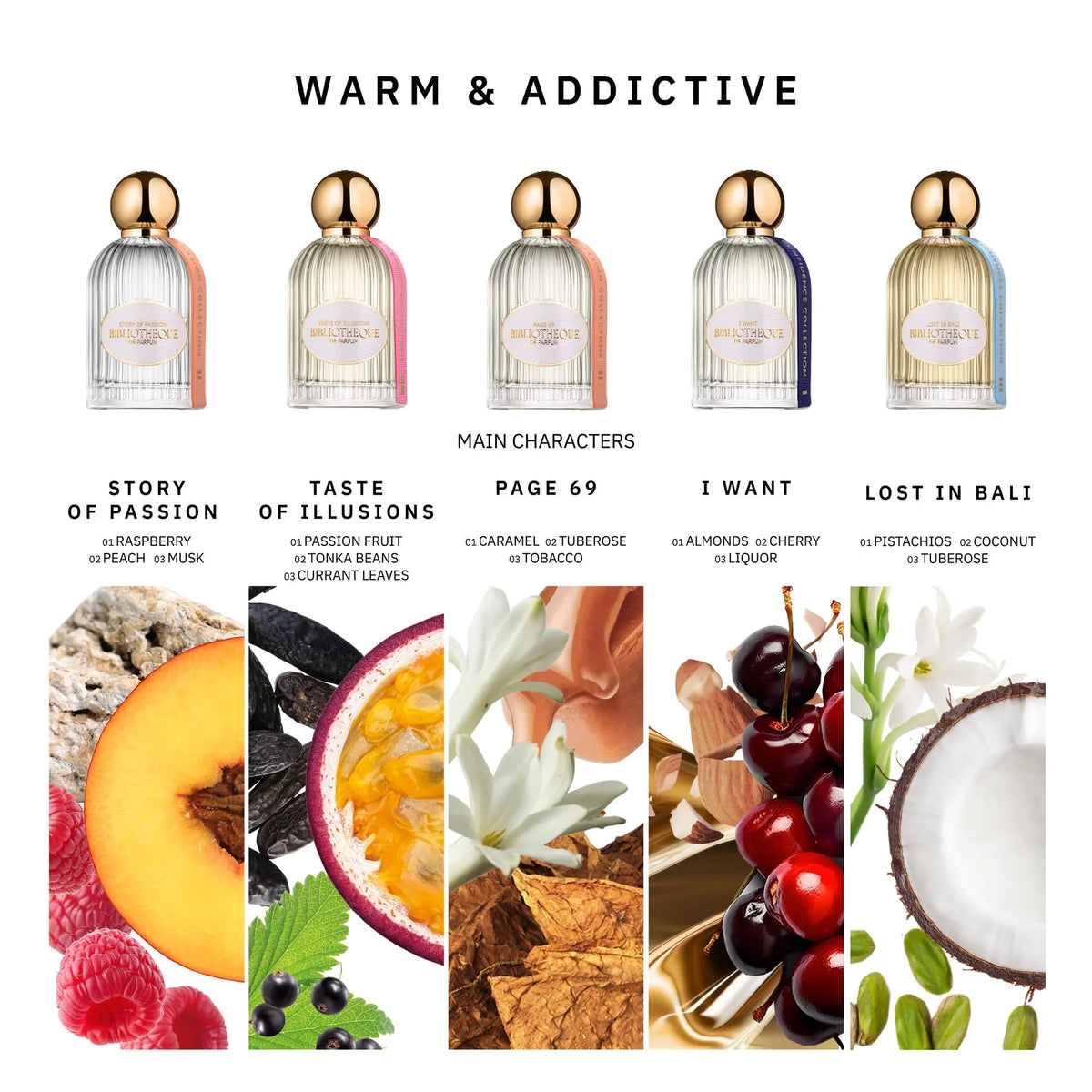 Discovery Set · Warm & Addictive