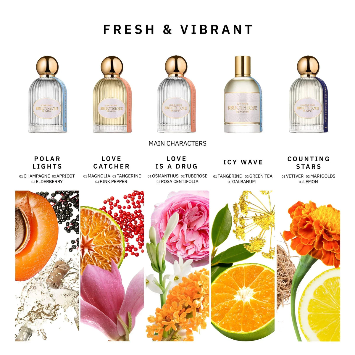 Discovery Set · Fresh & Vibrant