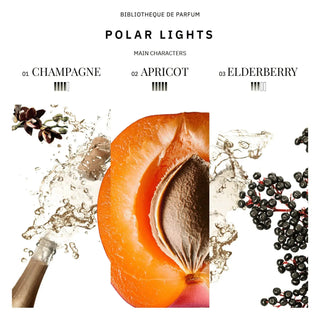 Polar Lights 100ml