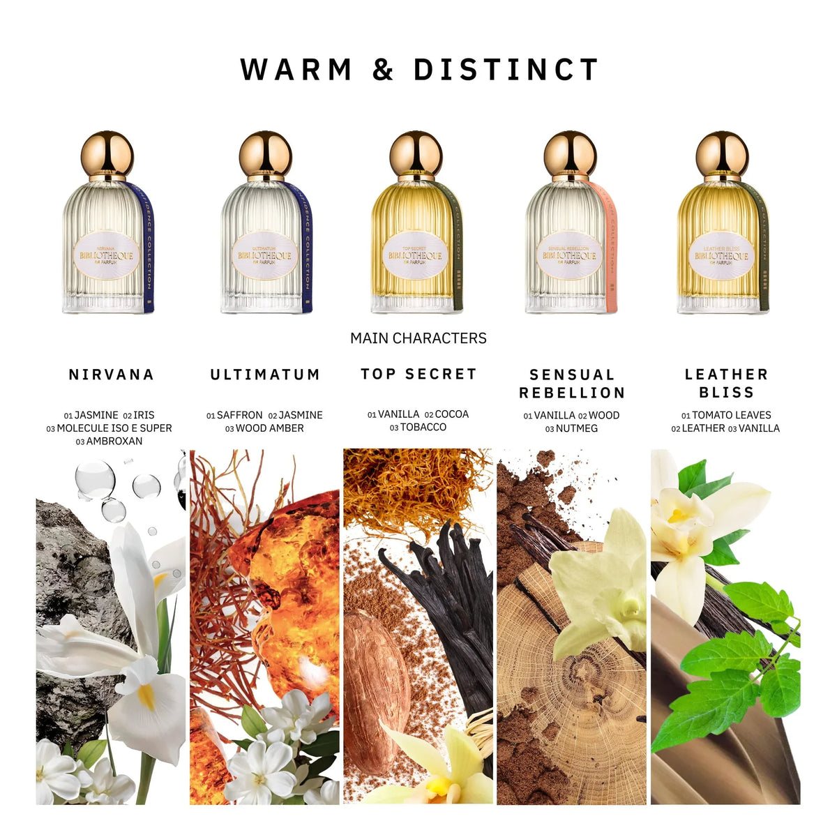 Discovery Set · Warm & Distinct