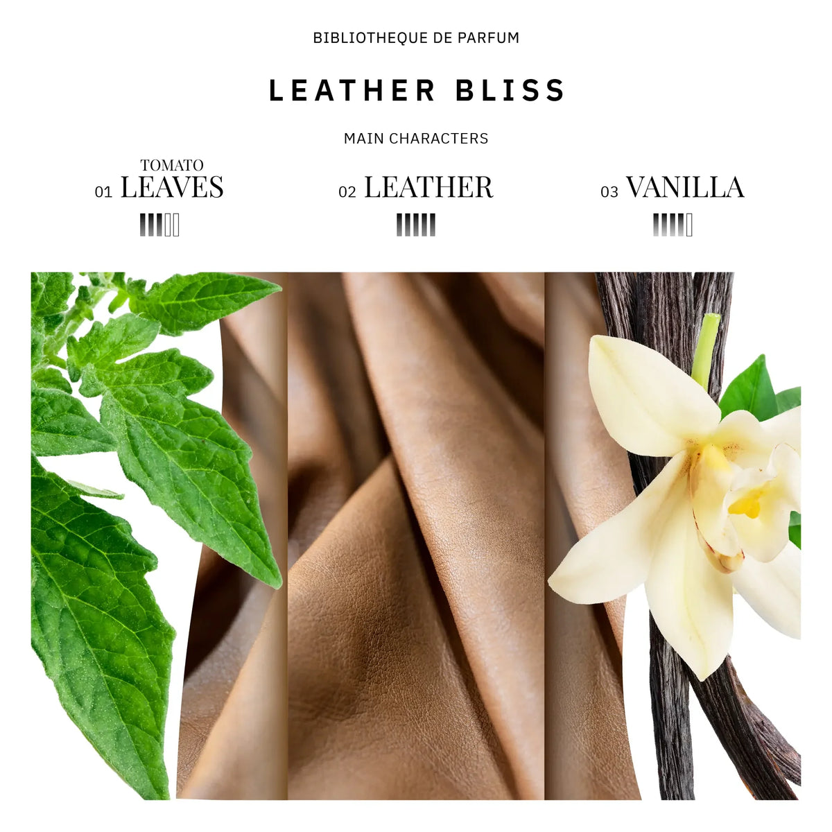 Leather Bliss 2 ml