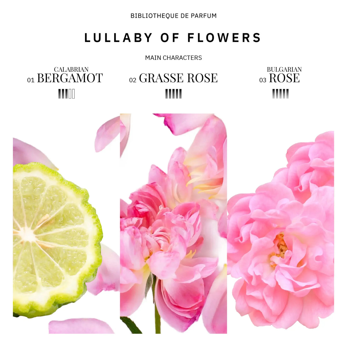 Lullaby of Flowers 2 ml