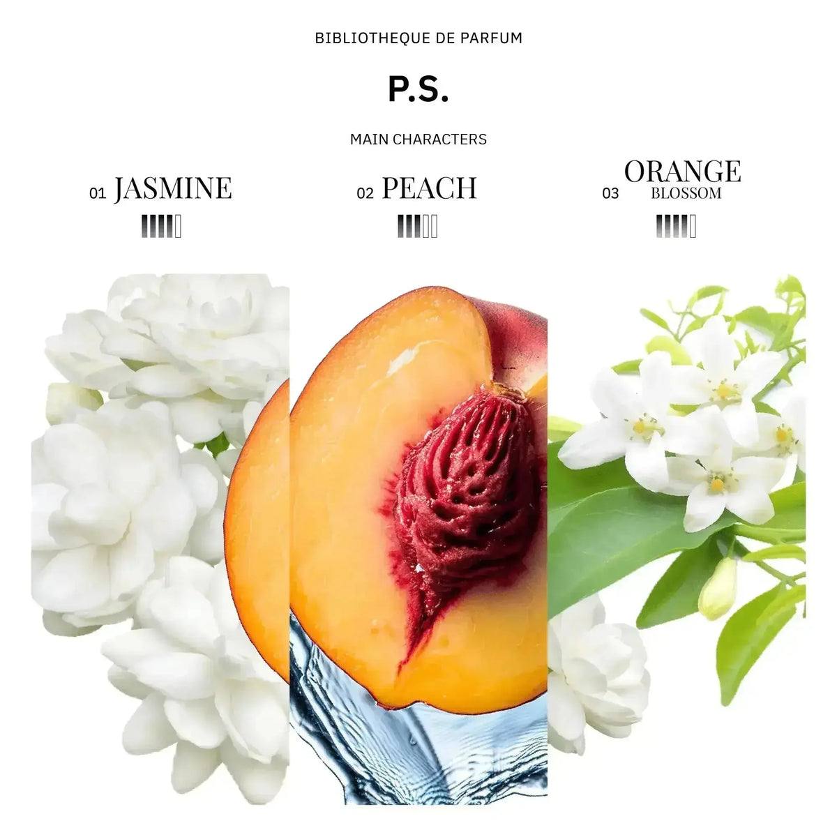 Discovery set Floral & Sophisticated 5x2ml Bibliotheque de Parfum