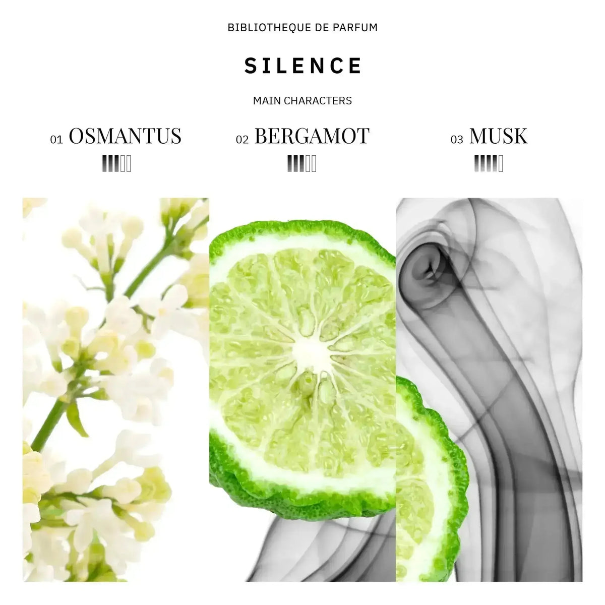 Silence 2 ml